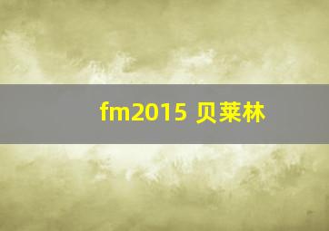 fm2015 贝莱林